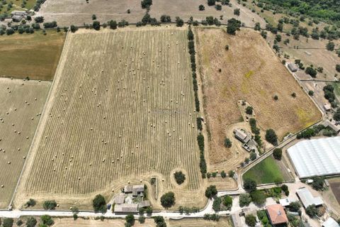 Landejendom i Modica, Ragusa, Modica - € 1.000.000 | Ref: L 734 - foto 16