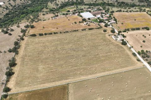 Landejendom i Modica, Ragusa, Modica - € 1.000.000 | Ref: L 734 - foto 23