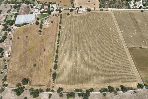 Landejendom i Modica, Ragusa, Modica - € 1.000.000 | Ref: L 734 - foto 24