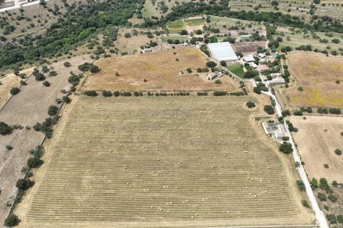 Landejendom i Modica, Ragusa, Modica - € 1.000.000 | Ref: L 734 - foto 25