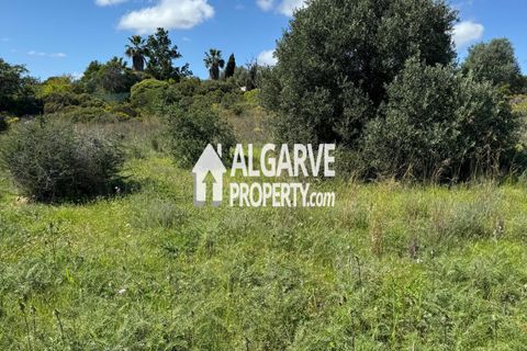 Helårsgrund i Almancil, Faro, Almancil - € 3.200.000 | Ref: TC247914A - foto 3
