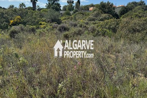Helårsgrund i Almancil, Faro, Almancil - € 3.200.000 | Ref: TC247914A - foto 4