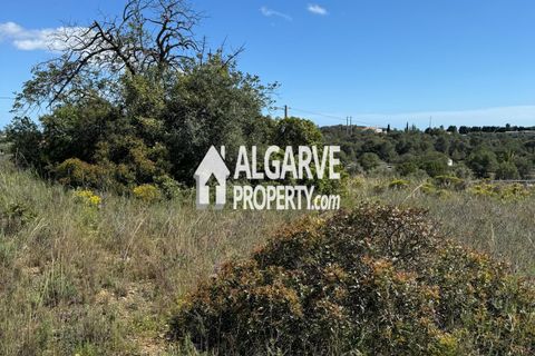 Helårsgrund i Almancil, Faro, Almancil - € 3.200.000 | Ref: TC247914A - foto 5