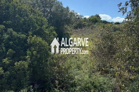 Helårsgrund i Almancil, Faro, Almancil - € 3.200.000 | Ref: TC247914A - foto 7
