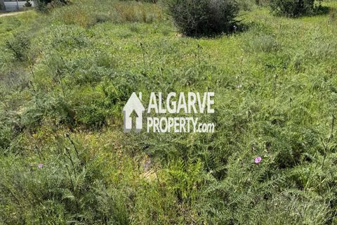 Helårsgrund i Almancil, Faro, Almancil - € 3.200.000 | Ref: TC247914A - foto 10