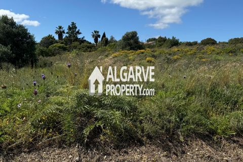 Helårsgrund i Almancil, Faro, Almancil - € 3.200.000 | Ref: TC247914A - foto 11