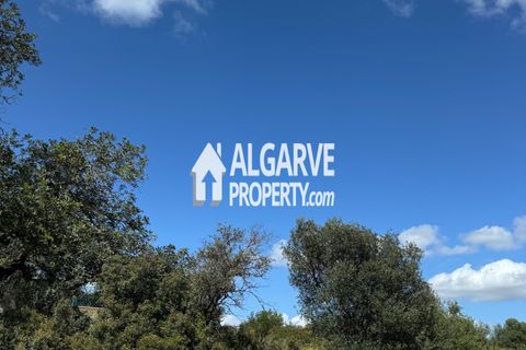 Helårsgrund i Almancil, Faro, Almancil - € 3.200.000 | Ref: TC247914A - foto 14