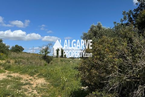 Helårsgrund i Almancil, Faro, Almancil - € 3.200.000 | Ref: TC247914A - foto 15