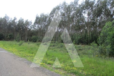 Helårsgrund i Agueda, Aveiro, Agueda - € 32.000 | Ref: 1051175/24 OB - foto 3