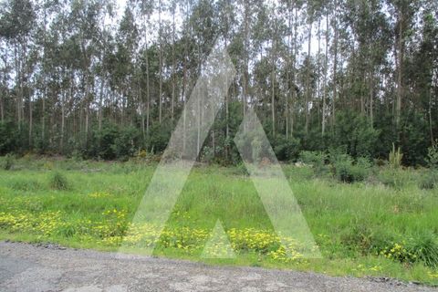 Helårsgrund i Agueda, Aveiro, Agueda - € 32.000 | Ref: 1051175/24 OB - foto 4