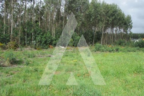 Helårsgrund i Agueda, Aveiro, Agueda - € 32.000 | Ref: 1051175/24 OB - foto 5