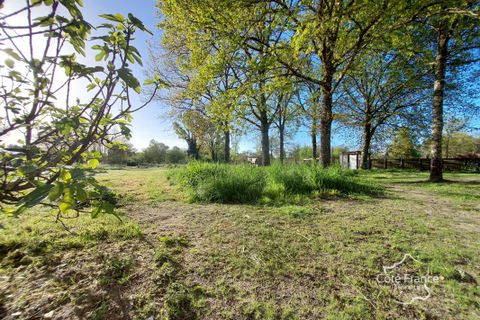 Villa i Landiras, Gironde, Landiras - € 333.000 | Ref: 43_FLBAL-6147 - foto 3