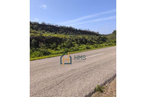 Terra a Bordeira, Faro, Bordeira - € 12.000 | Ref: HMSTR069 - foto 2