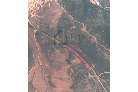 Terra a Bordeira, Faro, Bordeira - € 12.000 | Ref: HMSTR069 - foto 3