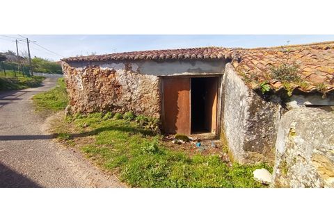 Landejendom i Mafra, Lisbon, Mafra - € 37.500 | Ref: MAX-109-24 - foto 10