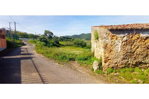 Landejendom i Mafra, Lisbon, Mafra - € 37.500 | Ref: MAX-109-24 - foto 13