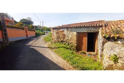 Landejendom i Mafra, Lisbon, Mafra - € 37.500 | Ref: MAX-109-24 - foto 14