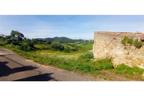 Landejendom i Mafra, Lisbon, Mafra - € 37.500 | Ref: MAX-109-24 - foto 15