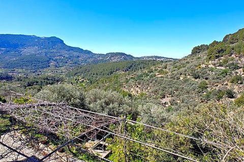 Landejendom i Soller, Mallorca, Soller - € 4.500.000 | Ref: 2103 - foto 8