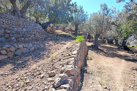 Landejendom i Soller, Mallorca, Soller - € 4.500.000 | Ref: 2103 - foto 24