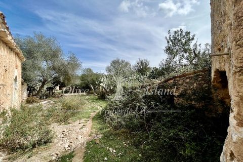 Ruin i Sineu, Mallorca, Sineu - € 850 000 | Ref: SIN471 - foto 6