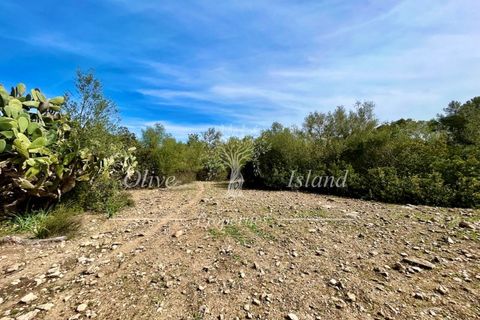 Ruin i Sineu, Mallorca, Sineu - € 850 000 | Ref: SIN471 - foto 7