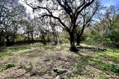 Ruin i Sineu, Mallorca, Sineu - € 850 000 | Ref: SIN471 - foto 10