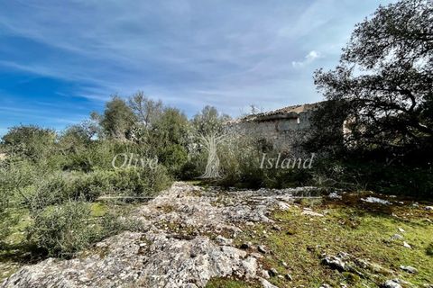 Ruin i Sineu, Mallorca, Sineu - € 850 000 | Ref: SIN471 - foto 11