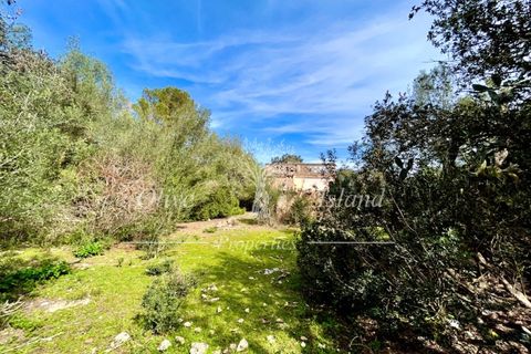 Ruin i Sineu, Mallorca, Sineu - € 850 000 | Ref: SIN471 - foto 12