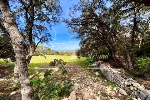 Ruin i Sineu, Mallorca, Sineu - € 850 000 | Ref: SIN471 - foto 13