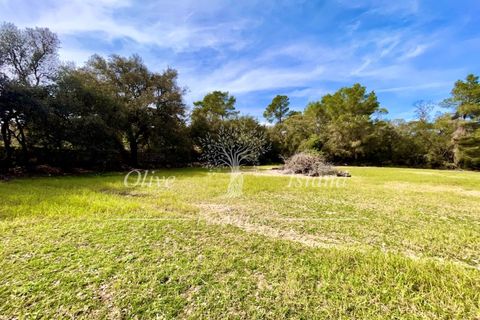 Ruin i Sineu, Mallorca, Sineu - € 850 000 | Ref: SIN471 - foto 15