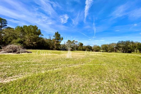 Ruin i Sineu, Mallorca, Sineu - € 850 000 | Ref: SIN471 - foto 16