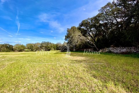 Ruin i Sineu, Mallorca, Sineu - € 850 000 | Ref: SIN471 - foto 17