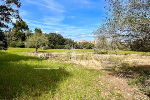 Ruin i Sineu, Mallorca, Sineu - € 850 000 | Ref: SIN471 - foto 18