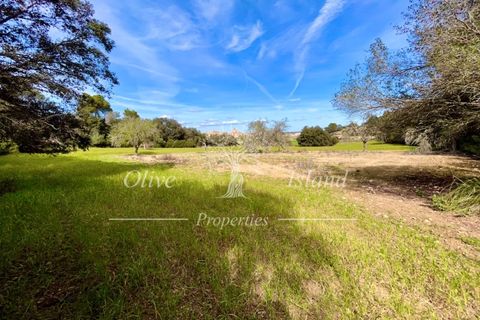 Ruin i Sineu, Mallorca, Sineu - € 850 000 | Ref: SIN471 - foto 19