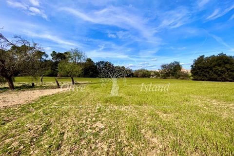 Ruin i Sineu, Mallorca, Sineu - € 850 000 | Ref: SIN471 - foto 20