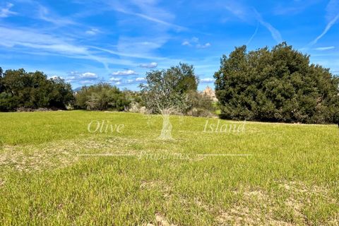 Ruin i Sineu, Mallorca, Sineu - € 850 000 | Ref: SIN471 - foto 21
