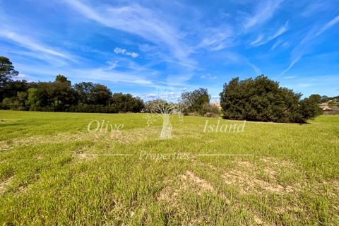 Ruin i Sineu, Mallorca, Sineu - € 850 000 | Ref: SIN471 - foto 22
