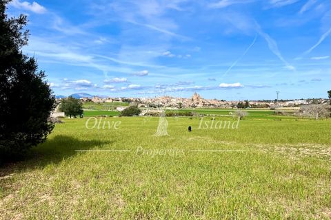 Ruin i Sineu, Mallorca, Sineu - € 850 000 | Ref: SIN471 - foto 23