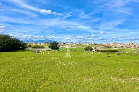 Ruin i Sineu, Mallorca, Sineu - € 850 000 | Ref: SIN471 - foto 24