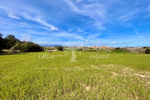 Ruin i Sineu, Mallorca, Sineu - € 850 000 | Ref: SIN471 - foto 25