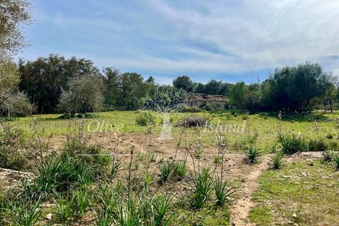 Ruin i Sineu, Mallorca, Sineu - € 850 000 | Ref: SIN471 - foto 26