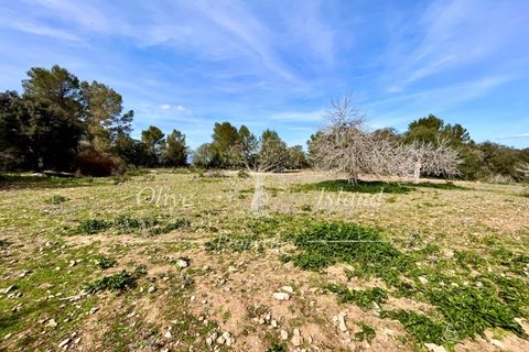 Ruin i Sineu, Mallorca, Sineu - € 850 000 | Ref: SIN471 - foto 27