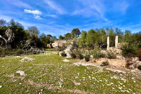 Ruin i Sineu, Mallorca, Sineu - € 850 000 | Ref: SIN471 - foto 28