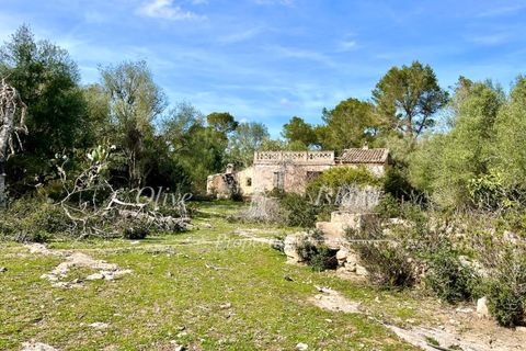 Ruin i Sineu, Mallorca, Sineu - € 850 000 | Ref: SIN471 - foto 29