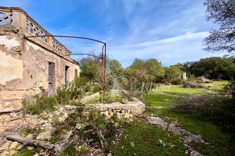 Ruin i Sineu, Mallorca, Sineu - € 850 000 | Ref: SIN471 - foto 30