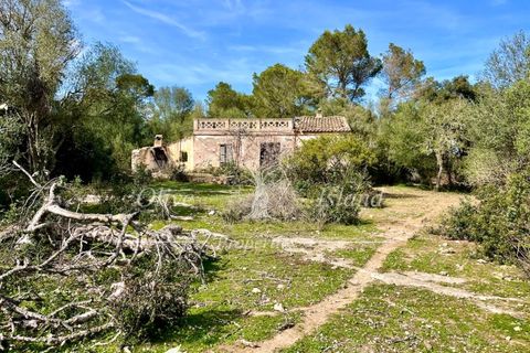 Ruin i Sineu, Mallorca, Sineu - € 850 000 | Ref: SIN471 - foto 31