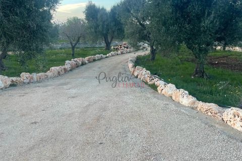 Villa i Ostuni, Brindisi, Ostuni - € 550.000 | Ref: 269 - foto 15