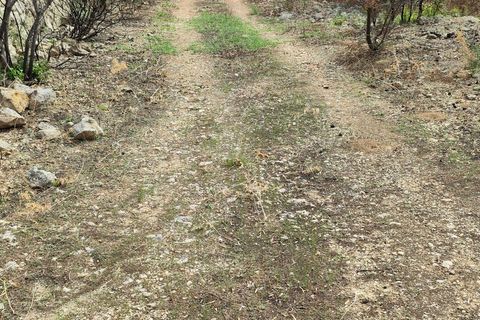 Erhvervsejendom i Melilli, Siracusa, Melilli - € 18.000 | Ref: TR1116 - foto 5