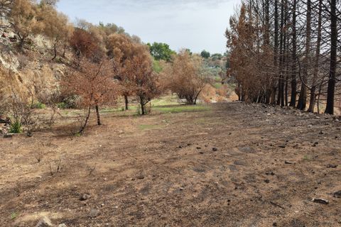 Erhvervsejendom i Melilli, Siracusa, Melilli - € 18.000 | Ref: TR1116 - foto 8